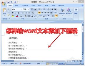 怎样给word文本添加下框线