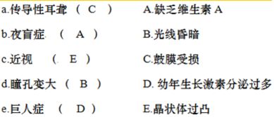 请将下列右侧选项前方的代号填入左侧的括号内. 题目和参考答案 青夏教育精英家教网 