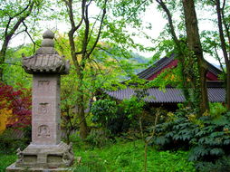 杭州的永福禅寺