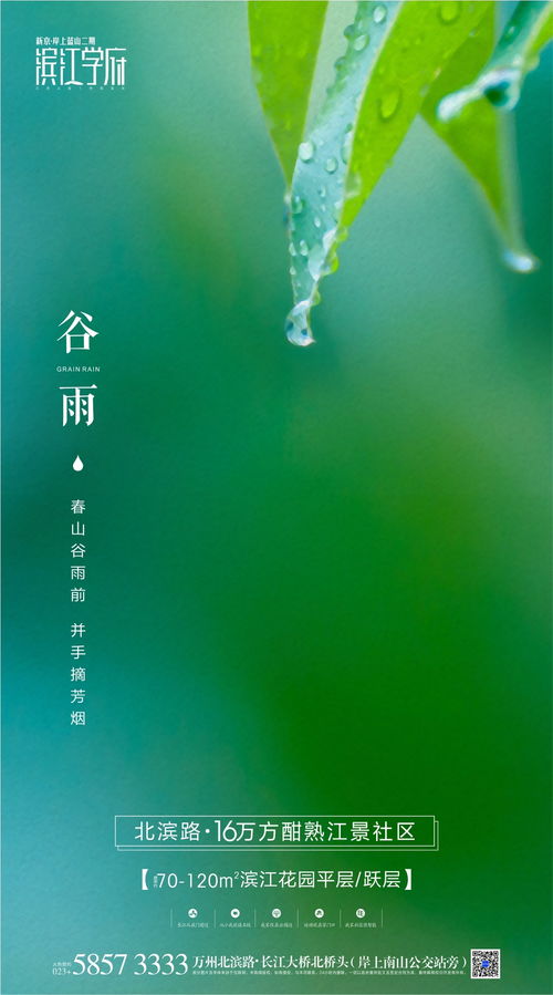 谷雨科技