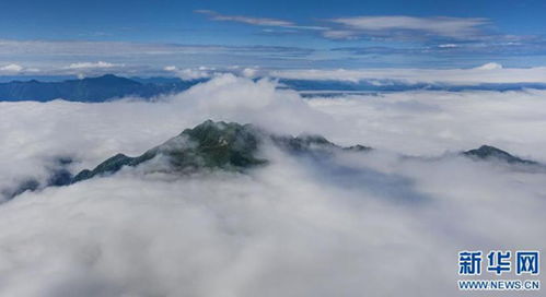 无人机航拍陕西汉中龙头山 云海涌动风光迷人