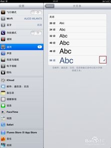 iphone4怎么设置字体 