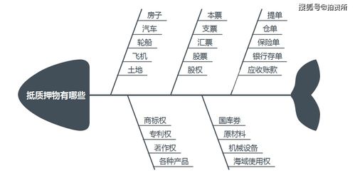 什么是质押，哪些东西可以作质押物？