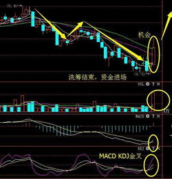 我买的股票每10股送10股派3.5是什么意思