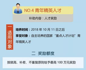 2023宁波引进哪些高校