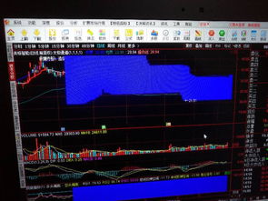 老师通达信行情报价怎么去除股票代码