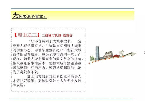 万科地产集团返乡置业计划方案PPT