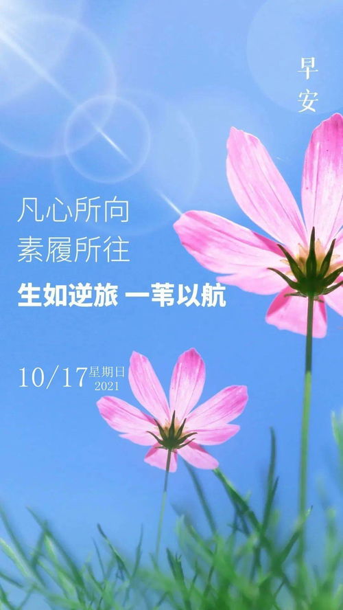 10月17日早安 新的一天,越奋斗,越幸运