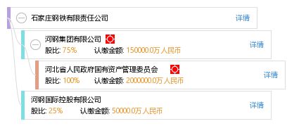 石家庄钢铁有限责任公司的企业性质  都有谁的股份呢
