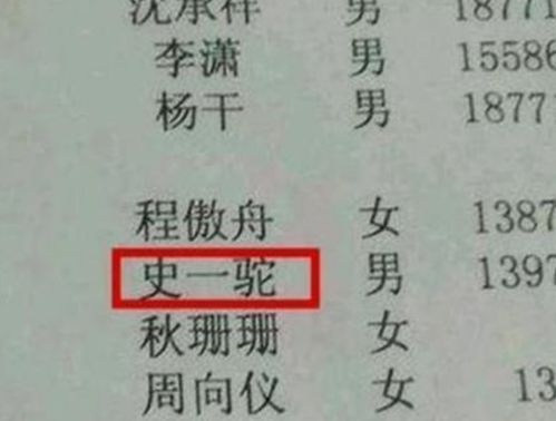 小学生因 名字 走红,连名带姓总共5笔,没有一笔是弯的