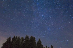 探索无尽星空——天文学的奥秘与魅力，天文的作文400字左右