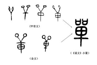 说文解字 第190课 细说 单 字