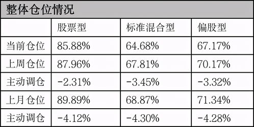 股票债务基金买了后怎么知道是盈亏？在哪查？