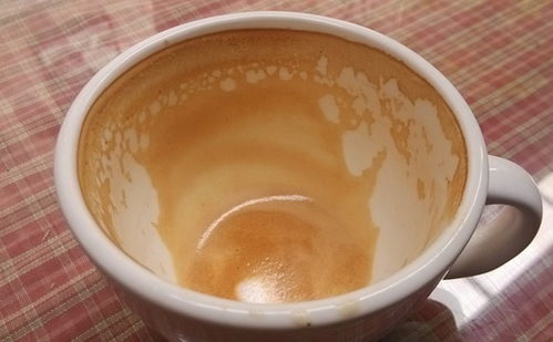 杯子里的咖啡渍怎么去除 杯子上的咖啡渍怎么洗