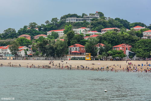 中国最文艺的小岛,与商业小镇不太一样,没有因旅游 清空 居民