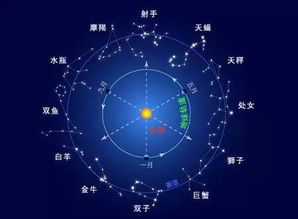 帮我调试个bug好么 看12星座程序员的反应 