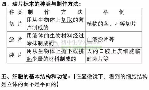 初中生物模型------心脏怎么做？材料要环保，最好做成可以收缩的