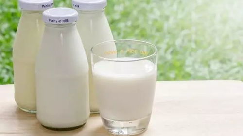 喝牛奶减肥吗，喝纯牛奶可不可以减肥
