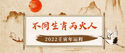 不同生肖的丙火人2022年运程