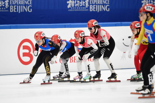 短道速滑运动员口中的韩教中国短道速滑队再冲击两金 运动员们的实力有多强