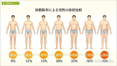 就算体脂率超过了也没关系 信息图文欣赏 信息村 K0w0m Com