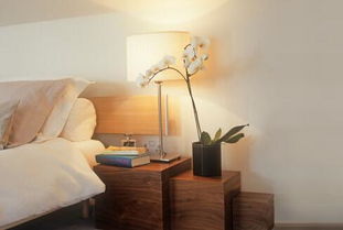 枫香树可以放卧室吗？