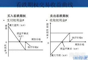 美式看跌期权定价