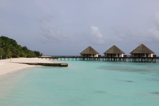马尔代夫海洋旅游形式 关于马尔代夫的文案