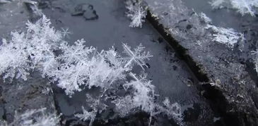 关于雪的冷知识,你知道几个