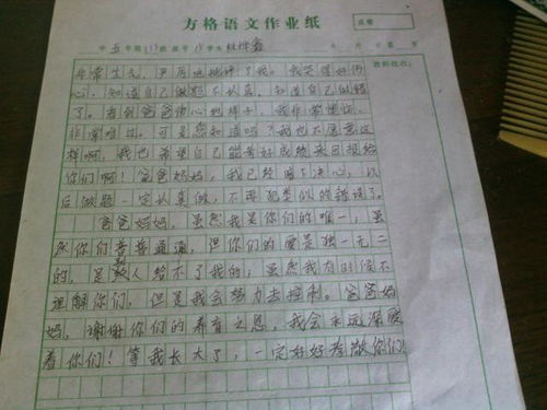 元旦节的作文400字 