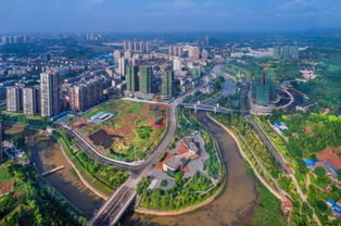 四川拟命名新一批省级森林城市,资阳上榜