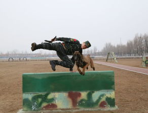 挑战不可能 训导员携警犬8米高空闯关