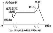 生理学中“主动转运”一定是将转运物从低浓度侧运至高浓度侧吗？