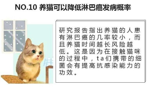 猫治百病,13个己被科学证明的养猫好处