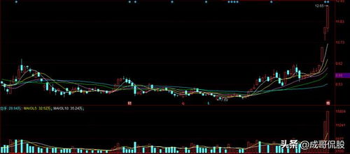 为什么有的股票一个交易日内涨幅可以超过10%