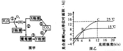 光合作用和呼吸作用有区别和联系