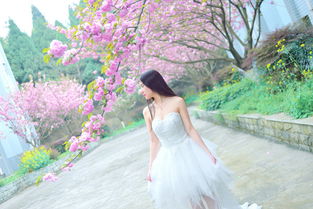 桃花盛开的树下,穿着白色婚纱的新娘 