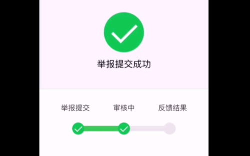 反馈审核中