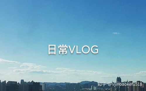 今日头条vlog如何才能可持续输出 