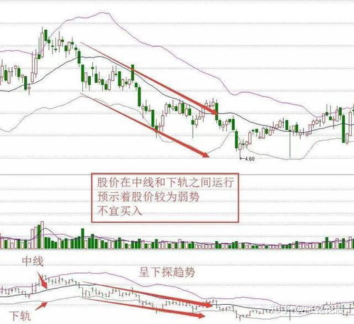 如何看某一年全年股价的增幅排名？