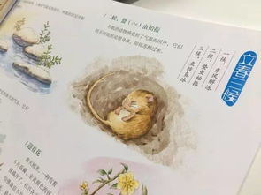 这套 中国风 绘本,带你和孩子聆听最传统的二十四节气 