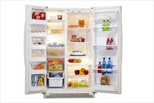 2014年电冰箱十大品牌排行榜 