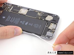 苹果iphone6怎么更换电池 苹果iPhone 6拆机更换电池图文教程 3