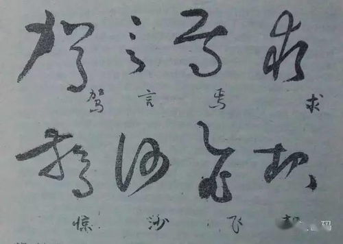 炼字 炼字 草书要有锻炼字形的功夫