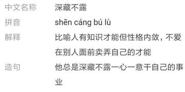 深藏不漏是什么意思