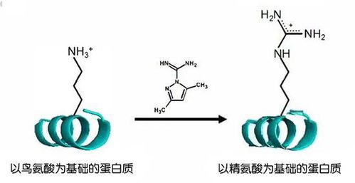 最早的蛋白质,是怎么产生的