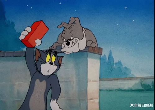 猫和老鼠 经典传奇动画片,剧情意义深刻,值得一看