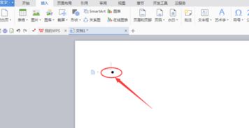WPS word文档里面的黑圆点怎么插入的 