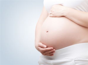 怀孕保养(怀孕后应该如何进行保养呢为什么)