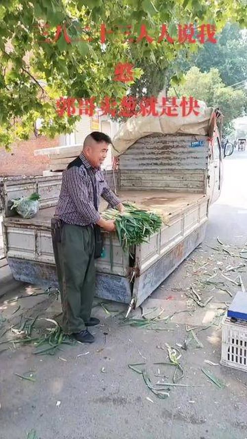 郭哥卖葱就是快 